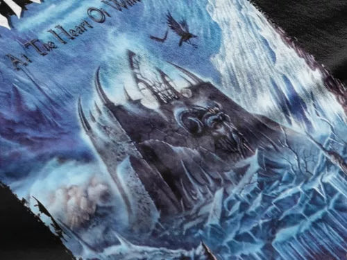 Playera Camiseta Immortal At The Heart Of Winter