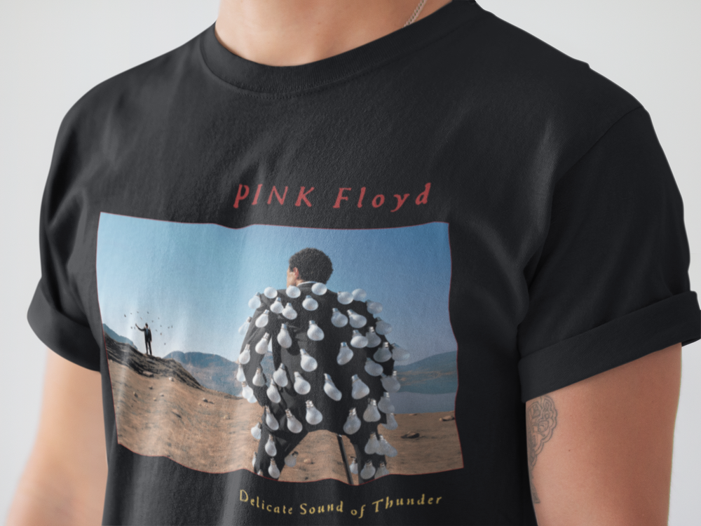 Pink Floyd Delicate Sound of Thunder