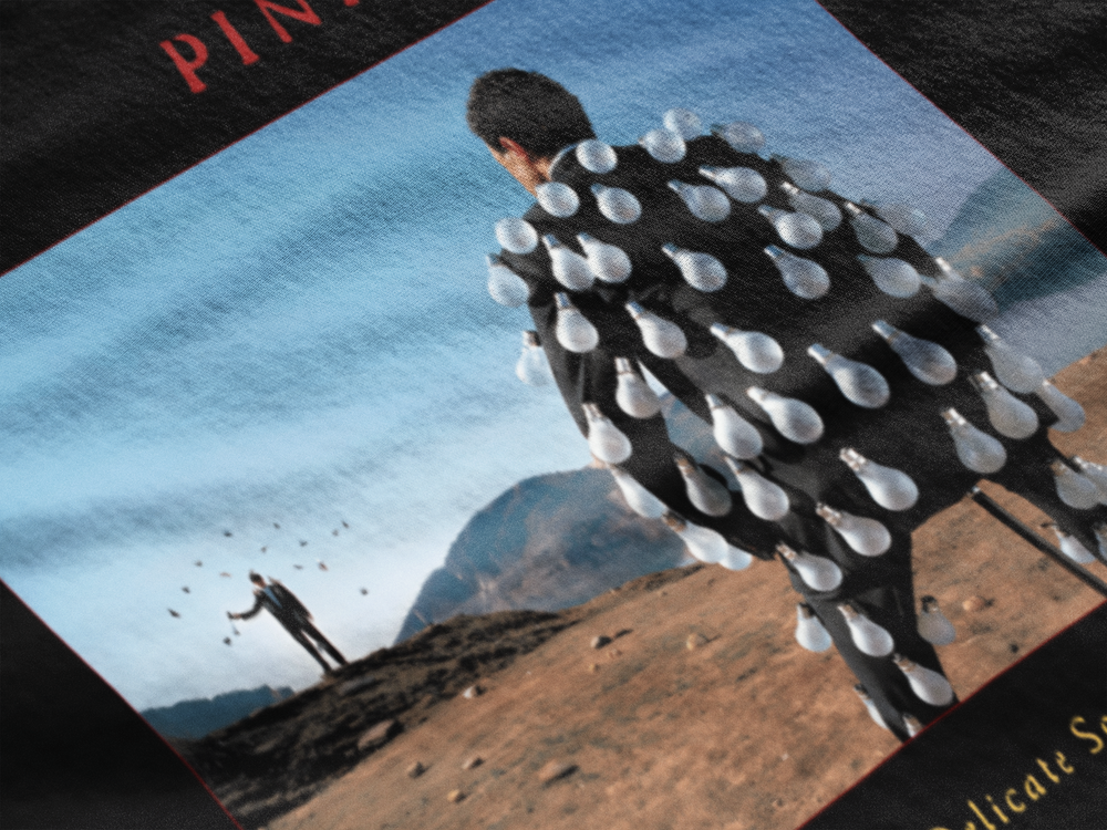 Pink Floyd Delicate Sound of Thunder