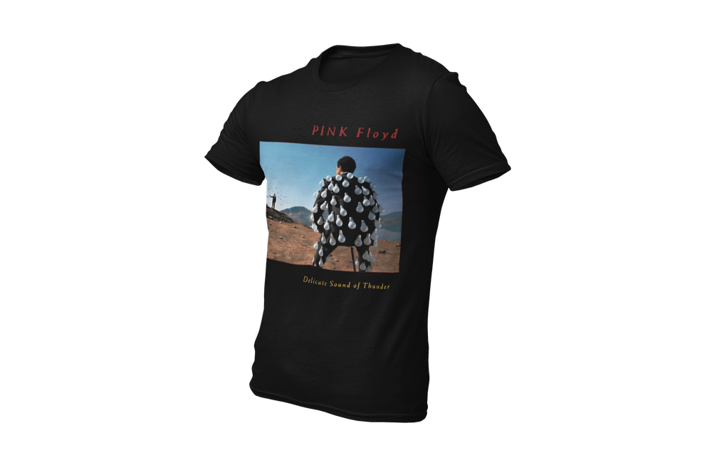 Pink Floyd Delicate Sound of Thunder
