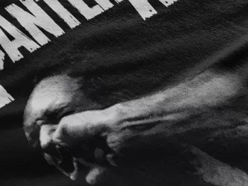 Pantera Vulgar Display Of Power