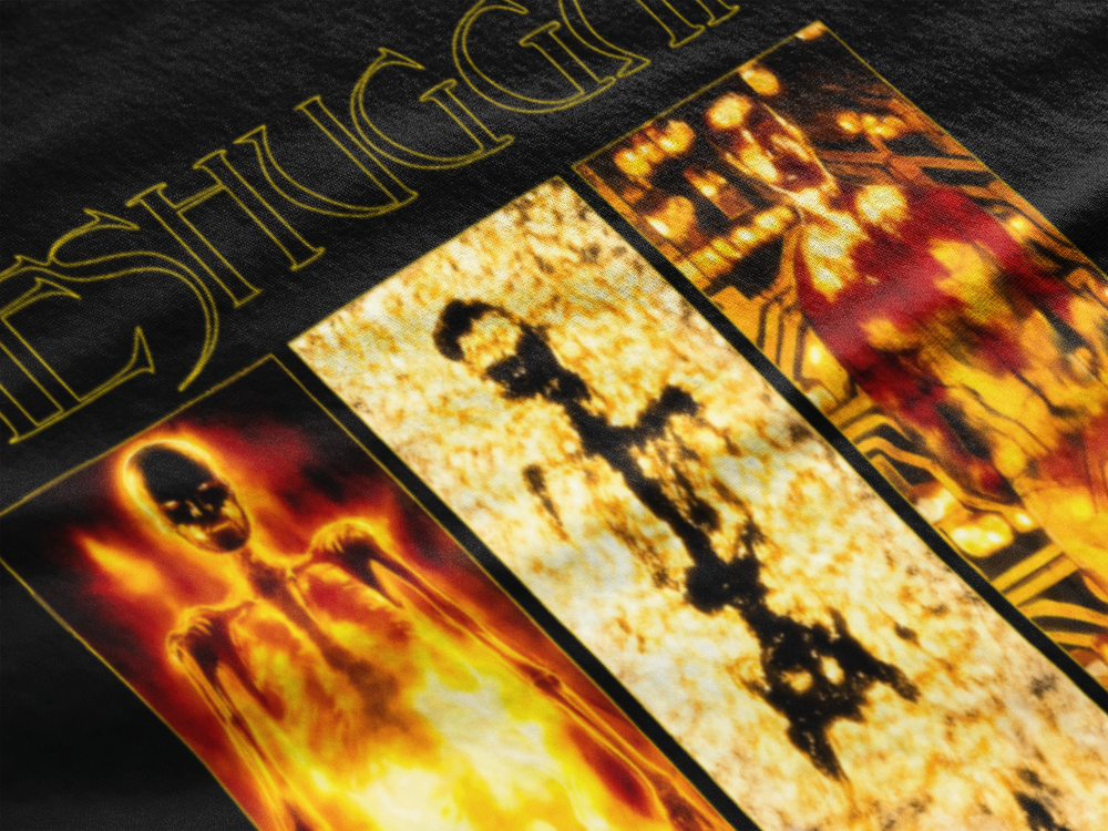 Meshuggah Destroy Erase Improve